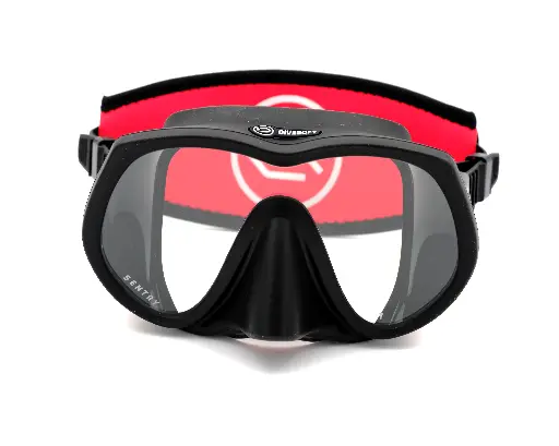 Sentry Mask